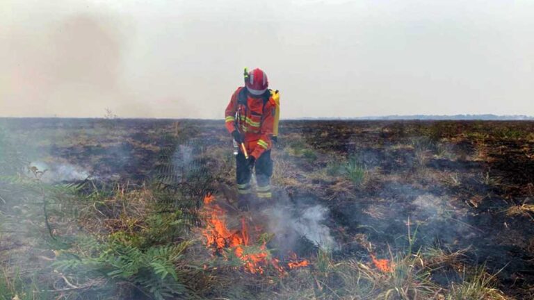 Semadesc investe R$ 1,5 milhão em brigadas voluntárias contra incêndios no Pantanal. Projeto cria 10 núcleos operacionais em Corumbá e Porto Murtinho.