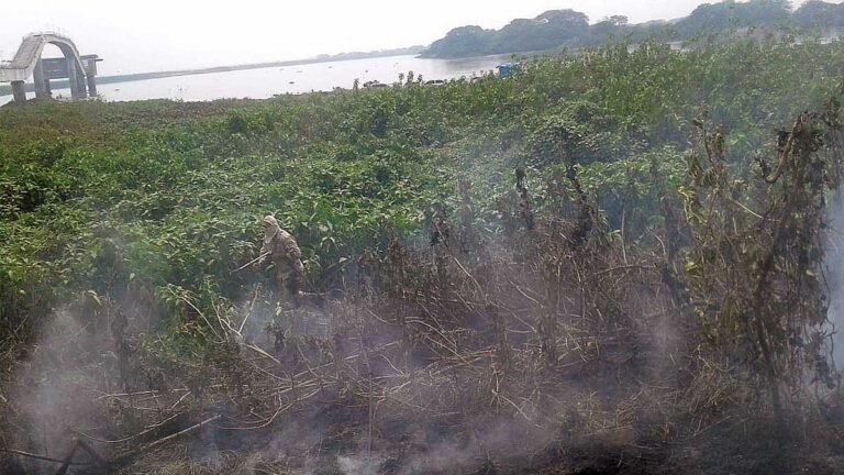 Seis incêndios em vegetação são controlados pelos Bombeiros em Corumbá