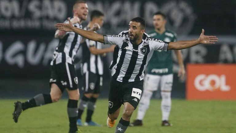 Último invicto do Brasileirão, Palmeiras cai diante o Botafogo no RJ