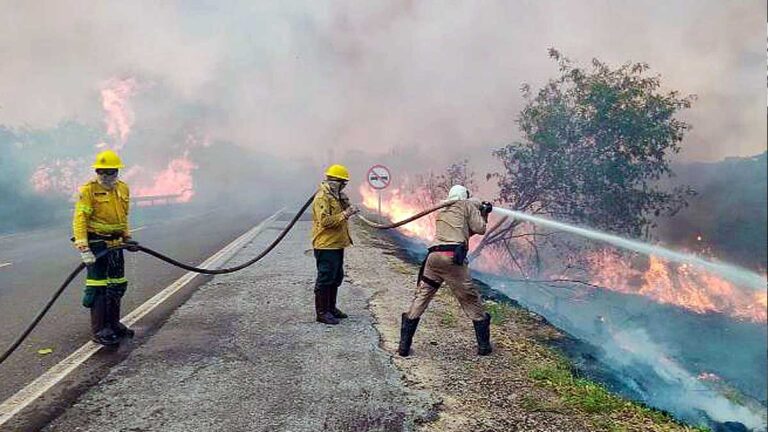 Fogo continua devastação no Pantanal de Mato Grosso do Sul