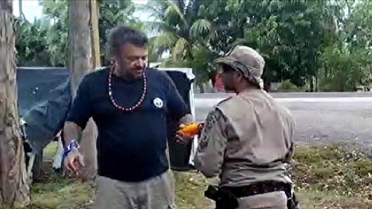 Tucano ferido é resgatado pelos bombeiros na BR-262