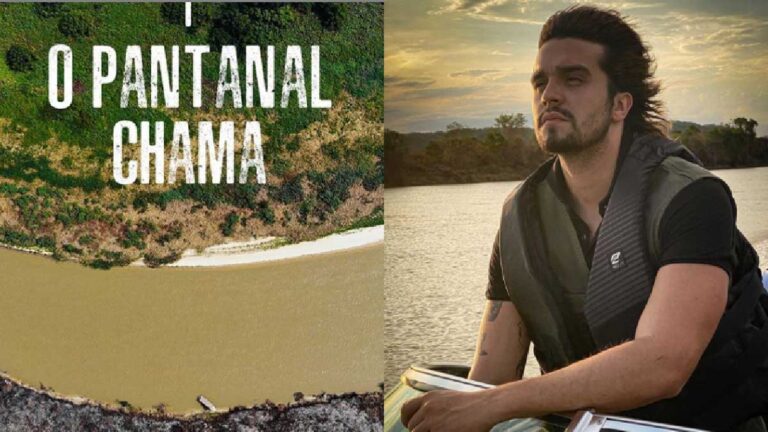 Live com Luan Santana promove movimento em prol do Pantanal