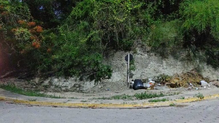 Vereador cobra limpeza de áreas e maior fiscalização para evitar proliferação da dengue em Corumbá