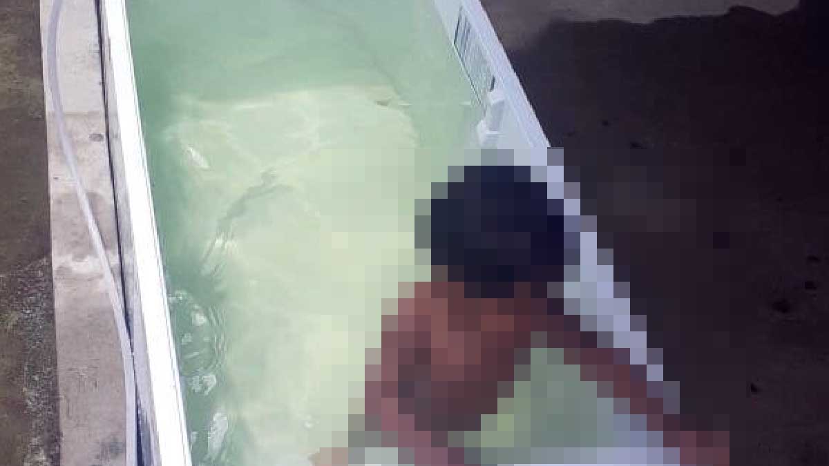 geladeira piscina