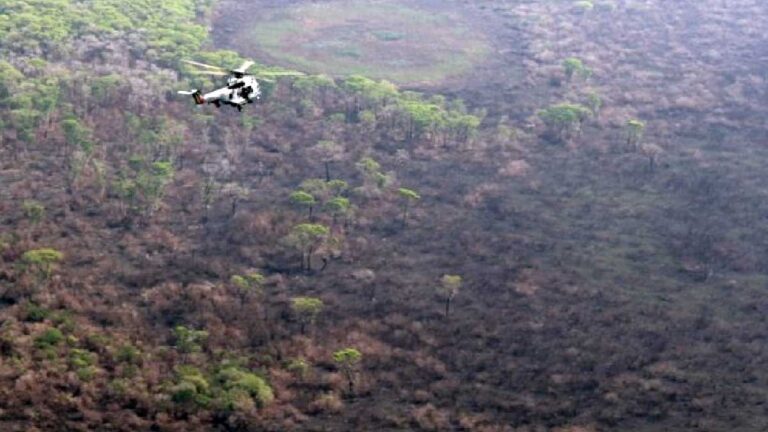 Produtor terá R$ 180 milhões em financiamento para recuperar pecuária da região pantaneira