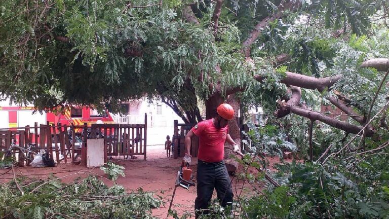 Pé de Seriguela cai sobre casa no Cristo Redentor
