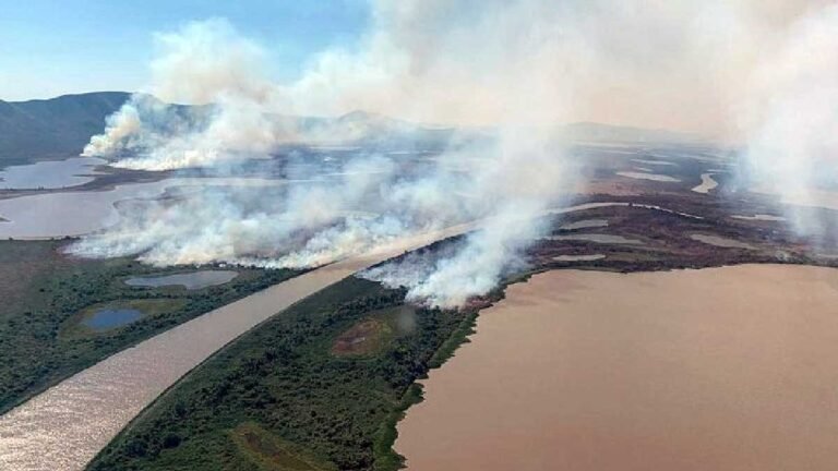 Governo vai instituir Política Estadual de Manejo integrado do fogo para prevenir incêndios florestais