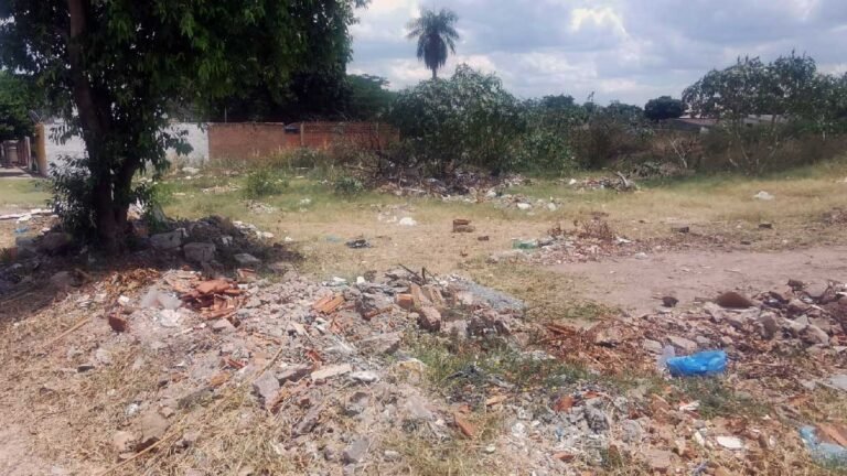 Com mais de 2 mil casos confirmados de dengue, vereador cobra ações de limpeza na região urbana de Corumbá