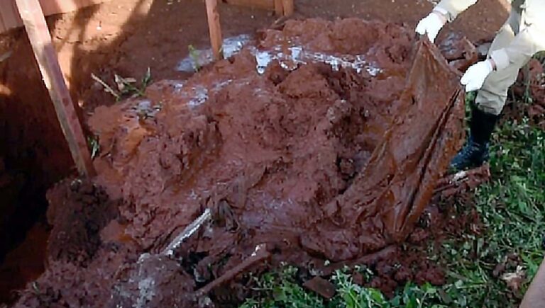 Corpo de homem morto a machadadas é encontrado dentro de fossa em MS