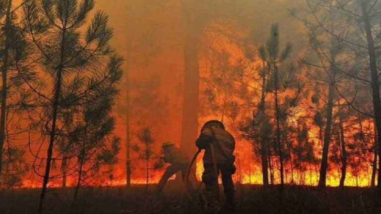 Governo do Estado anuncia R$ 56 milhões para combate permanente aos incêndios florestais