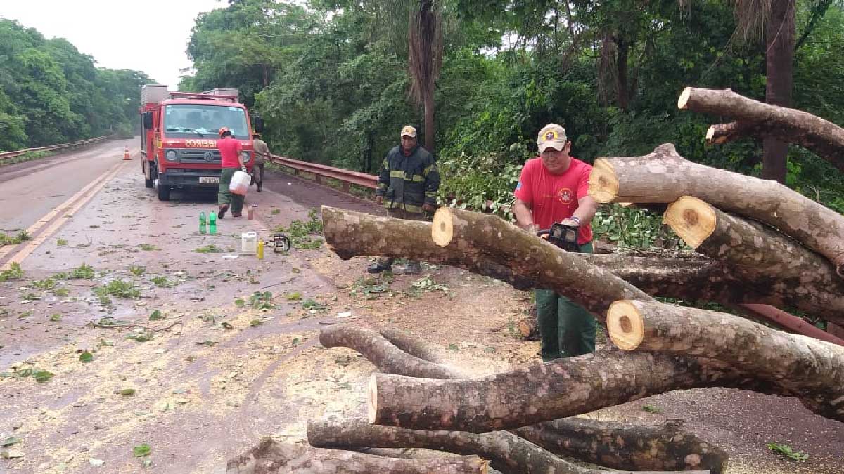 Leia mais sobre o artigo Bombeiros trabalham em remoção de árvores que caíram na BR-262