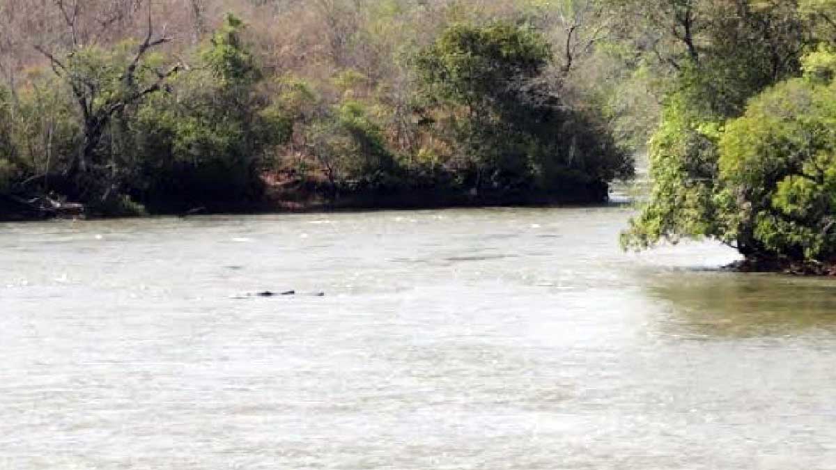 Leia mais sobre o artigo Bombeiros procuram por menina de 6 anos que desapareceu em rio de MS