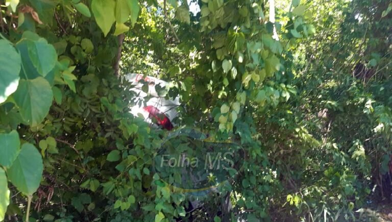 Taxista é socorrido após capotar veículo na Ramão Gomez |vídeo