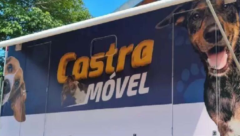 Projeto de lei quer controle reprodutivo de cães e gatos através do “Castramóvel” em Corumbá
