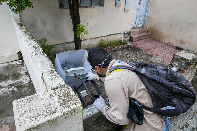 Dengue mata mais duas pessoas em MS e chega a 19 óbitos no ano
