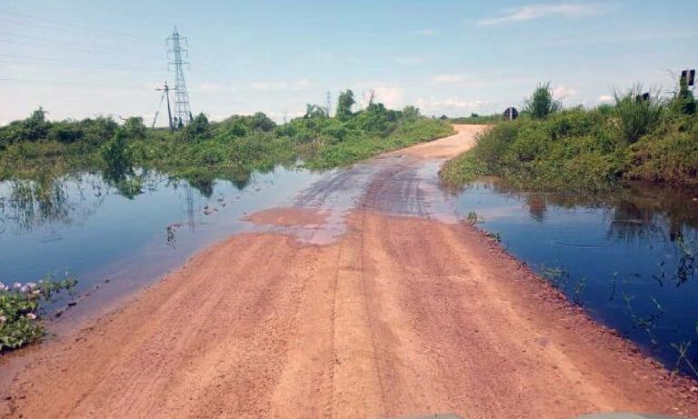 Rio Miranda transborda no Pantanal e água já invade trechos da Estrada Parque