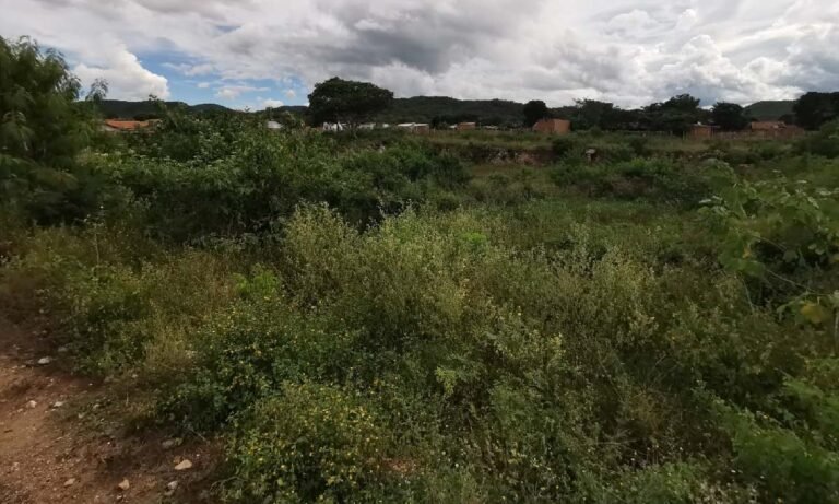 Dengue: “Piscina” para contenção de água preocupa moradores na parte alta de Corumbá