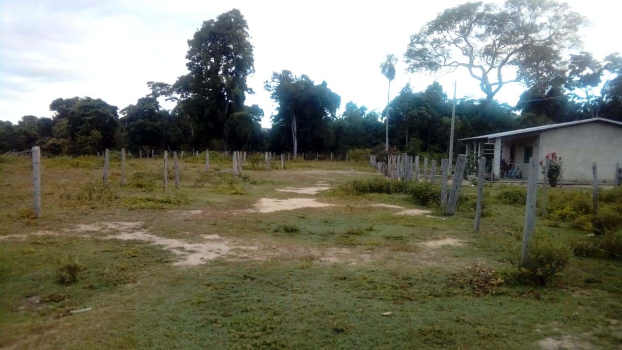 Leia mais sobre o artigo Bombeiros realizam buscas por peão desaparecido na região do Paiaguás
