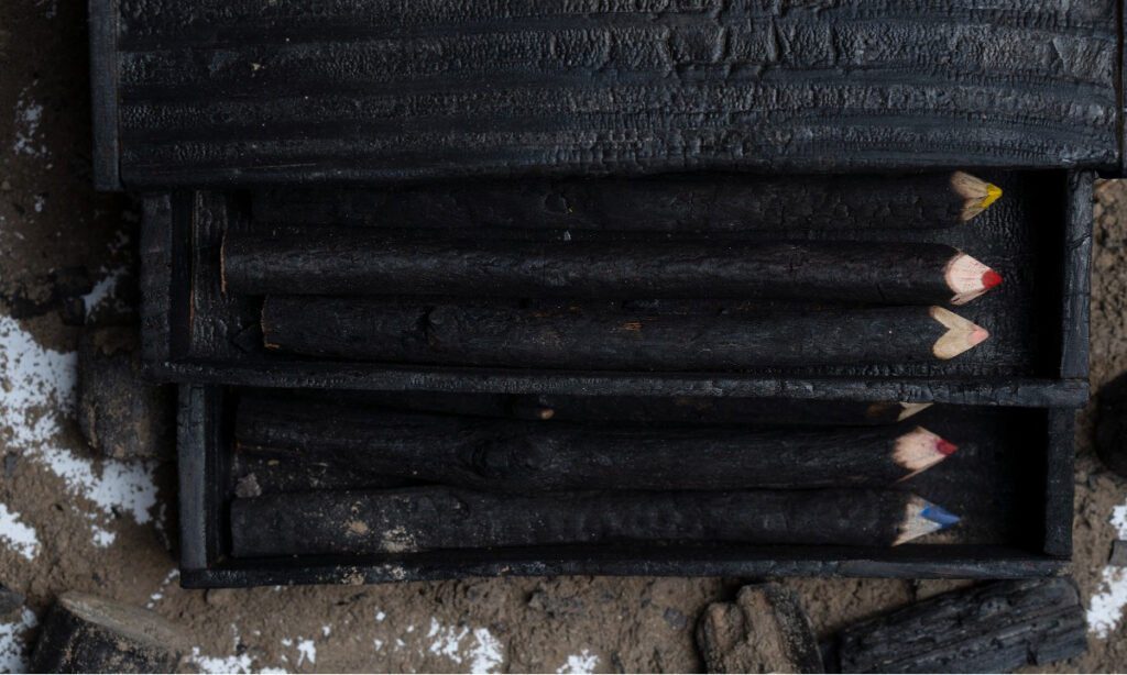 Caixa com lápis de madeira carbonizada no Pantanal é vendida a R$742.997,00 5 Lapis queimadas4