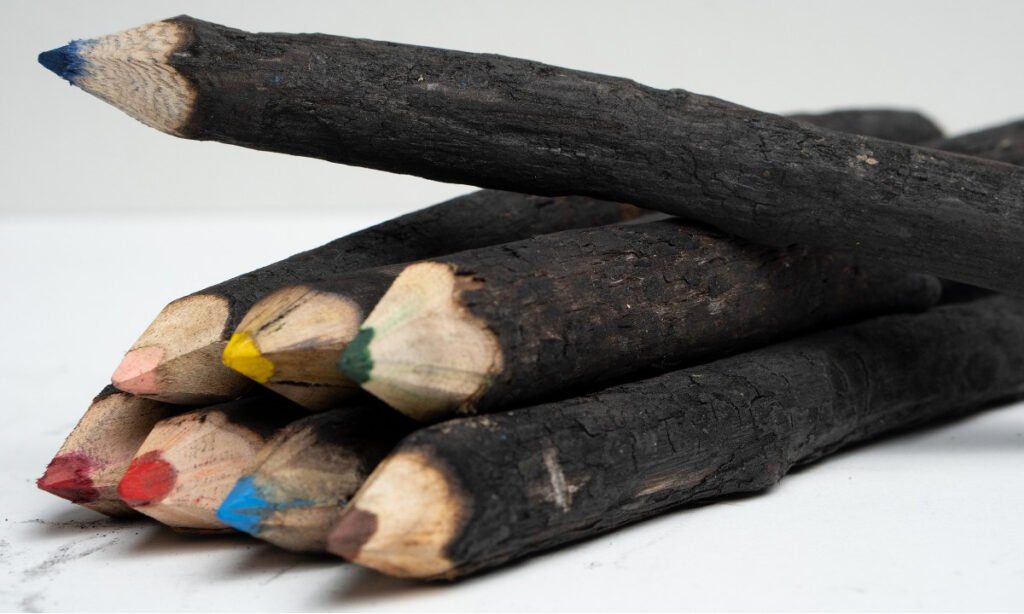 Caixa com lápis de madeira carbonizada no Pantanal é vendida a R$742.997,00 6 Lapis queimadas5