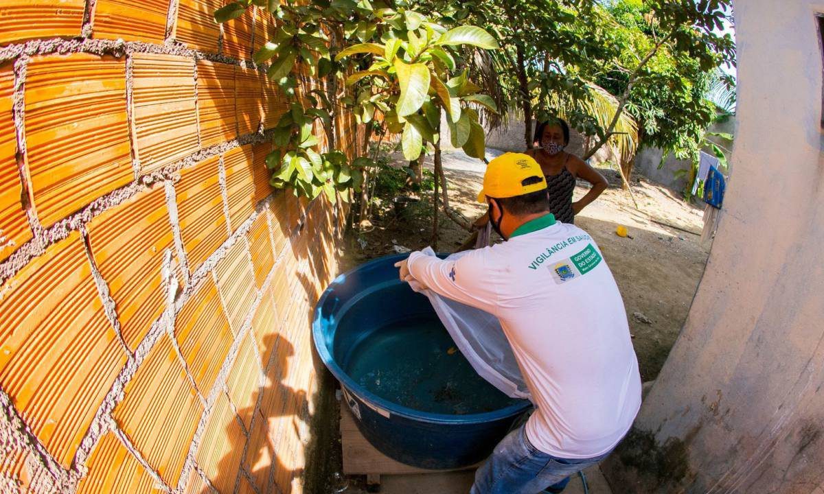 combate dengue
