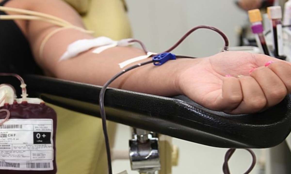 doacao sangue