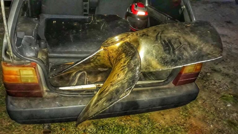 Cinco pessoas são presas por furto e receptação de hélices de navio em Ladário