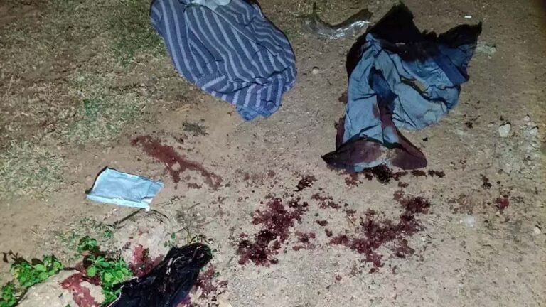 Adolescente é apreendida após matar namorado da mãe com facada no pescoço