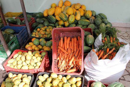 Projeto de Lei cria programa Kit Merenda Agricultura Familiar em Corumbá
