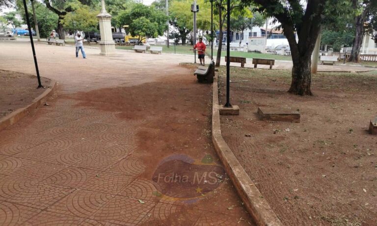 Vereadora cobra manutenção e limpeza da Praça da República