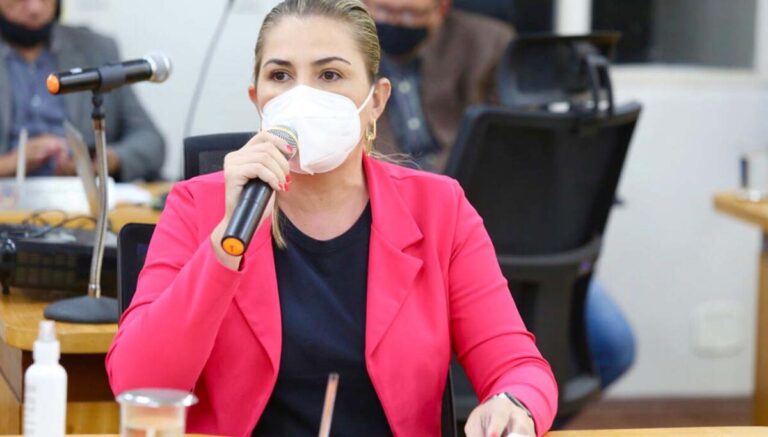 Vereadora sugere criação de uma Comissão Temporária da Criança, Mulher e Família