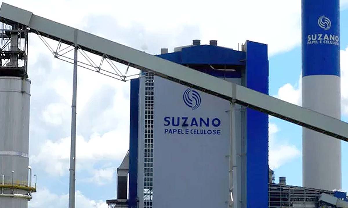 suzano celulose
