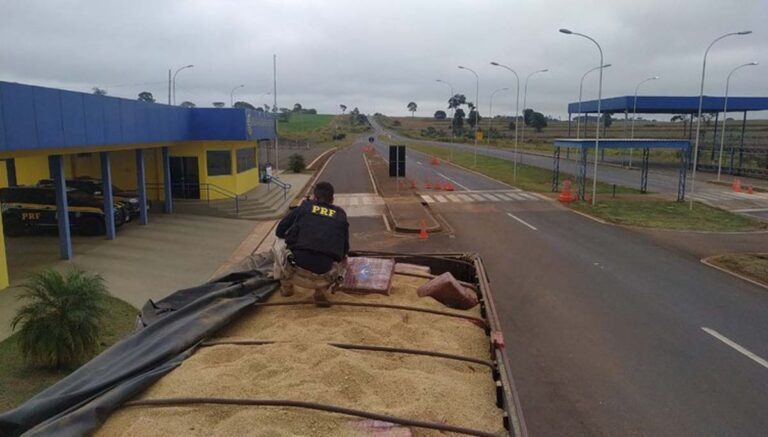 PRF apreende mais de 12 toneladas de maconha escondida em carga de soja