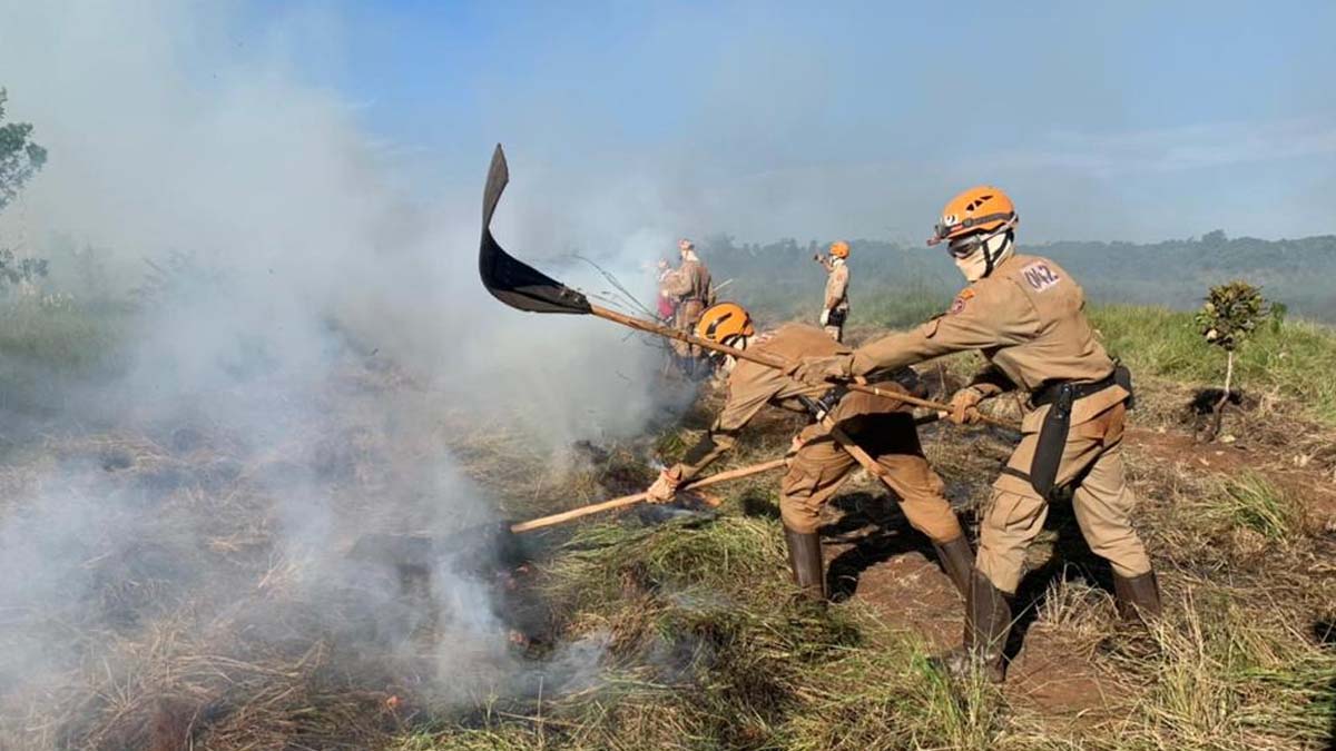 Leia mais sobre o artigo Bombeiros Militares executam mais de 500 ações de prevenção a incêndios florestais