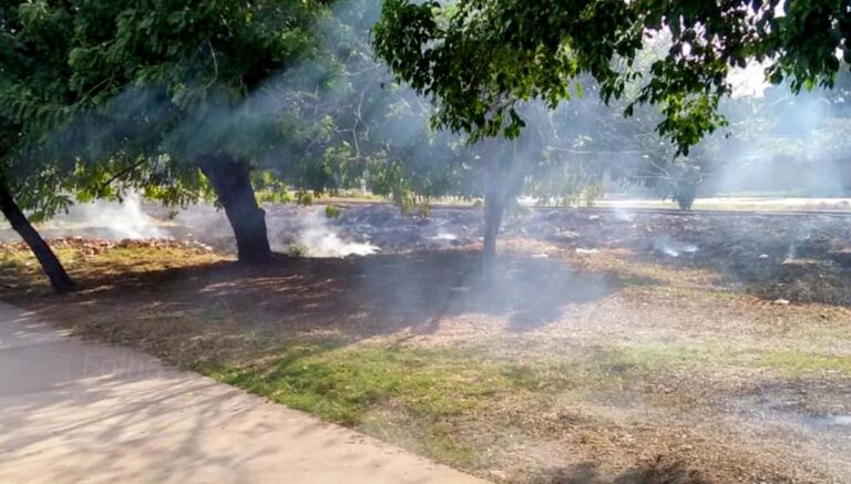 Homem é preso após ser flagrado ateando fogo em terreno