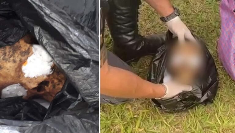 Boliviano é preso após ser flagrado transportando crânio humano em ônibus