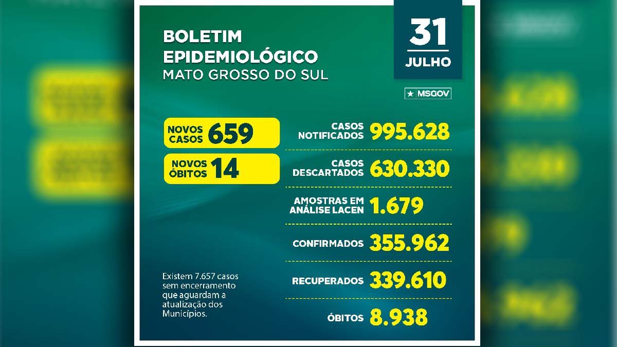 boletim 31
