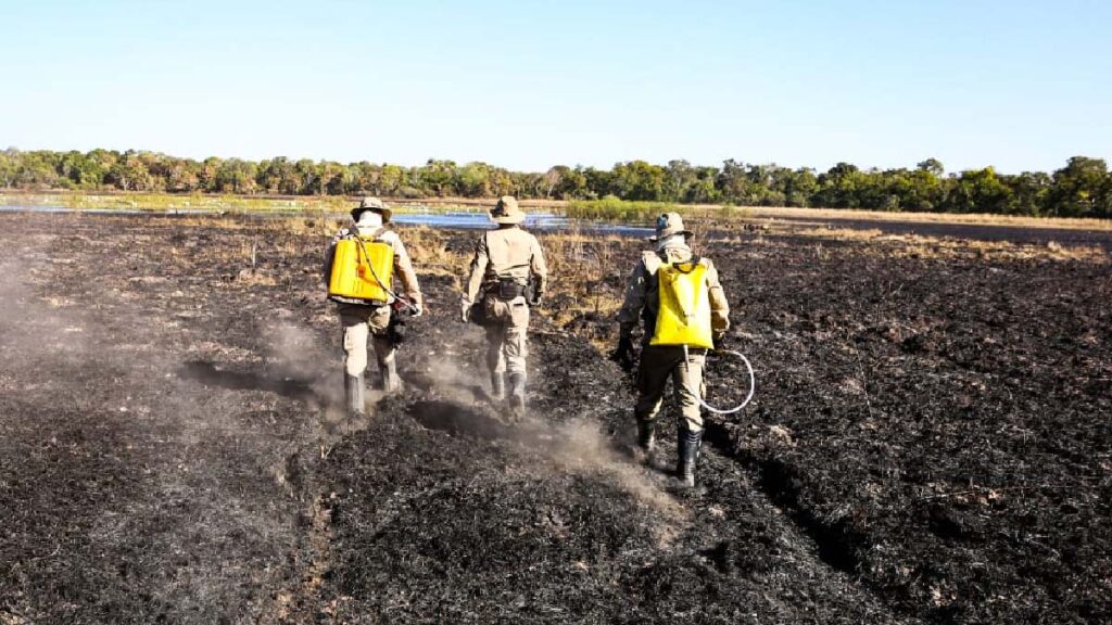 Bombeiros mantém combate a focos de incêndios que atingem o Pantanal | Vídeo 6 combate inceindios6