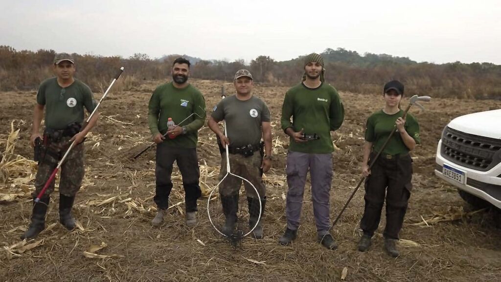 ilhas verdes 3 queimadas