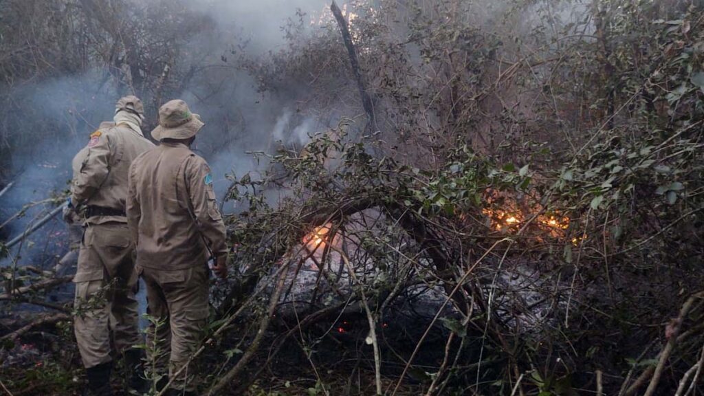 Bombeiros combatem focos de incêndios na região de Porto Morrinho 4 incendio morrinho1