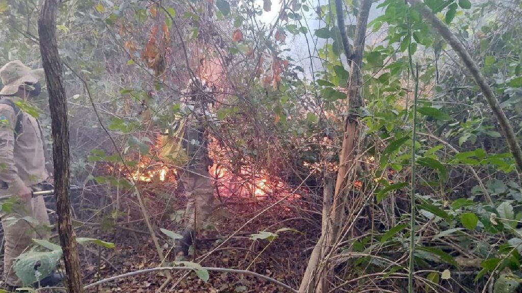 Bombeiros combatem focos de incêndios na região de Porto Morrinho 2 incendio morrinho3