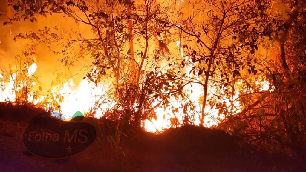 Bombeiros combatem focos de incêndios na região do Buraco das Piranhas 3 incendio buraco das piranhas2