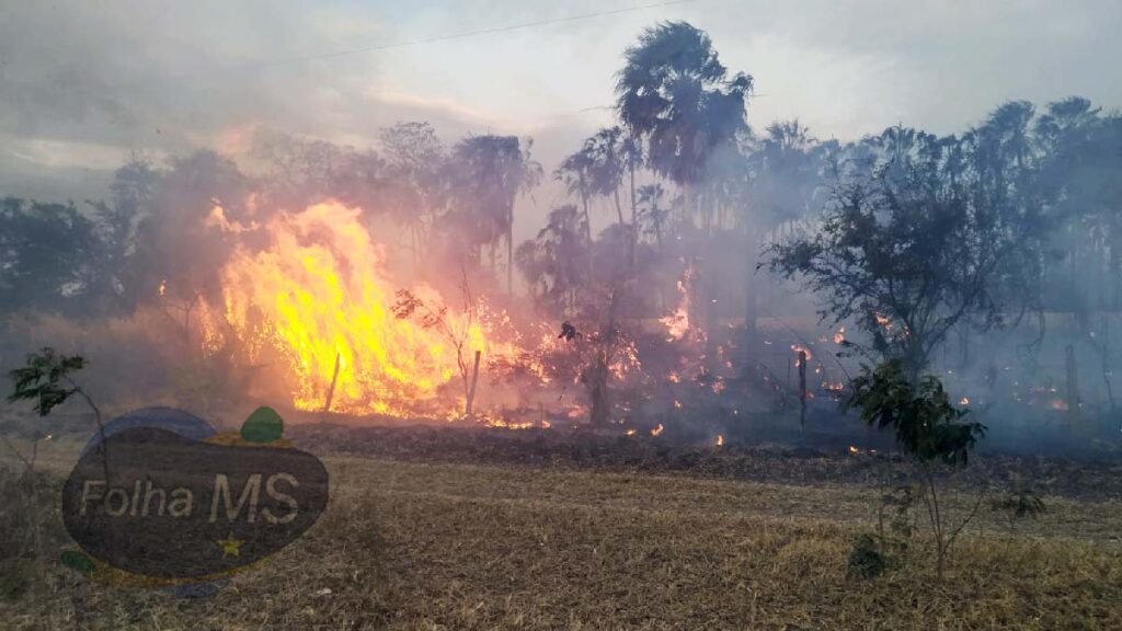 Bombeiros combatem focos de incêndios na região do Buraco das Piranhas 2 Focos de incêndios atingem região do Buraco das Piranhas em Corumbá