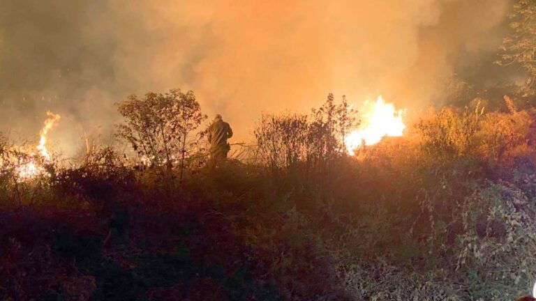 Focos de incêndios avançam sobre o Pantanal da Nhecolândia | Vídeo