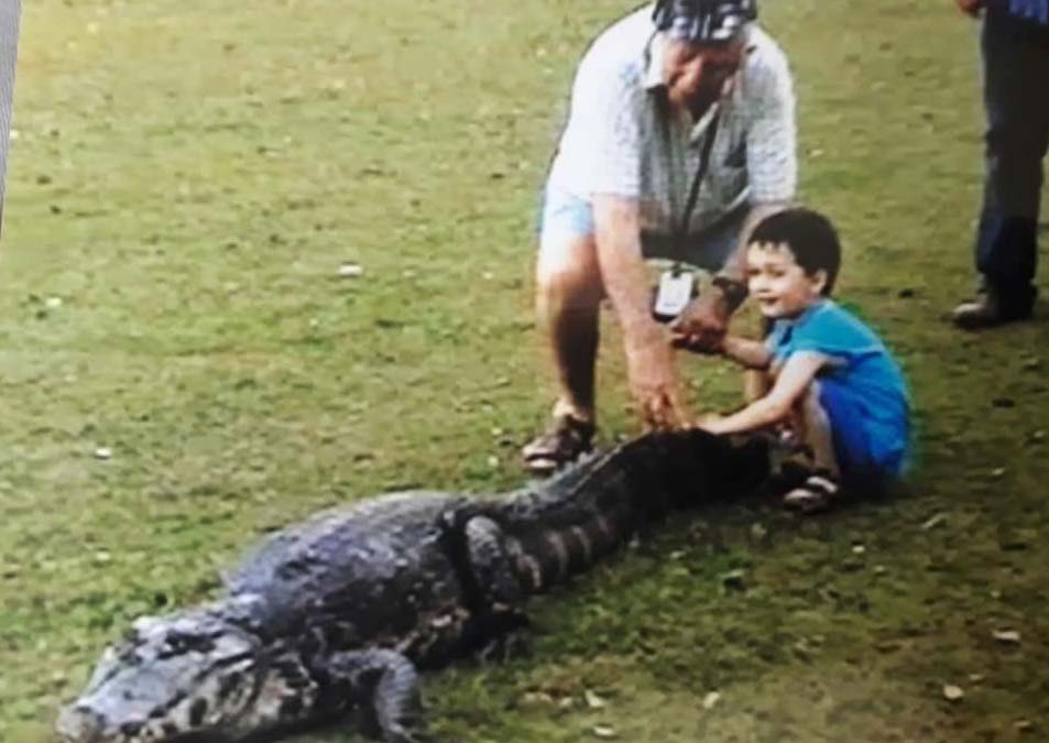 jogar cinzas pantanal2 depositar cinzas