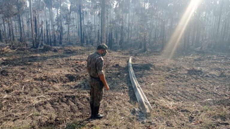 PMA multa fazendeiro em mais de R$ 240 mil por incêndio na região do Carandazal