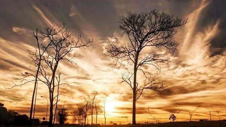 Quarta-feira de tempo firme em boa parte de Mato Grosso do Sul
