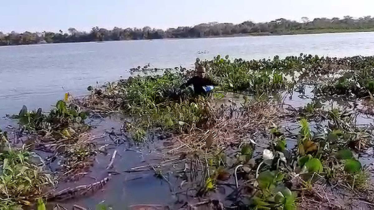 Você está visualizando atualmente Buscas por criança que desapareceu no rio Paraguai entram no 7º dia | Vídeo