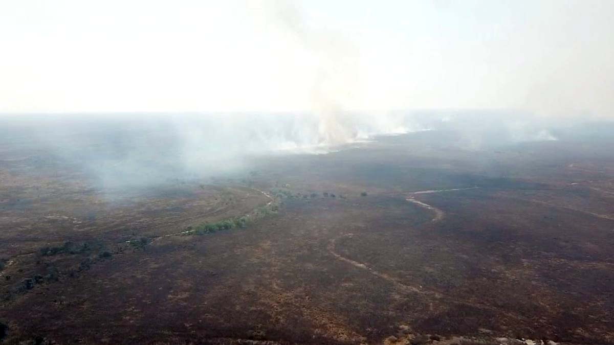 Você está visualizando atualmente Fazendeiro é multado em mais de R$ 1 milhão por incêndio no Pantanal