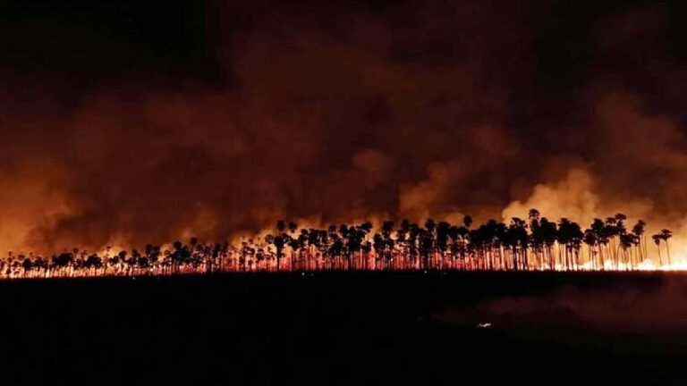 Fogo sai do controle em Puerto Suárez e avança sobre Pantanal Boliviano